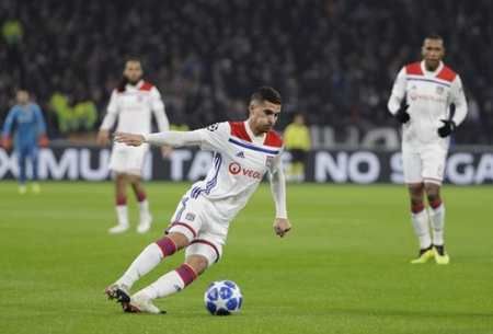 洛普的成功 洛普的成功